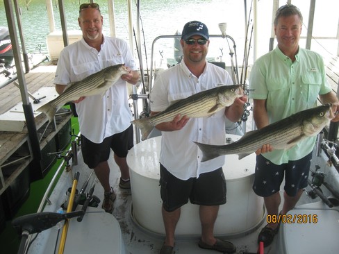 Nice Striped Bass